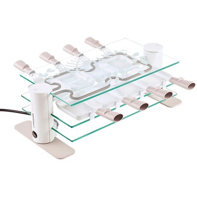 Raclette 8 Transparence Jardin d'hiver 009 819 LAGRANGE