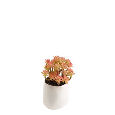Succulente en pot artificielle en argile H12 SIA DECO