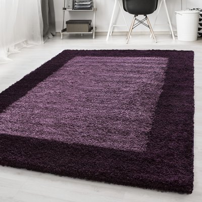 Tapis de salon shaggy bicolore OTTA NAZAR RUGS
