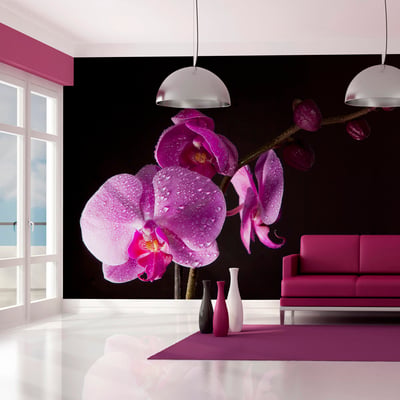 Papier peint intissé panoramique Fleurs de bon goût orchidée EDEN