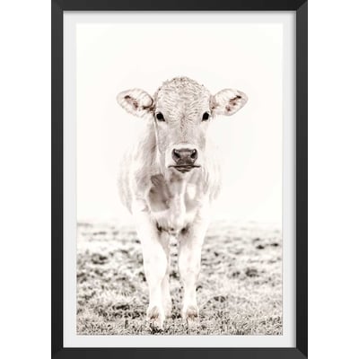 Affiche enfant veau HEXOA