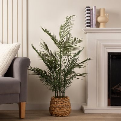 100cm Palm in Basket SO'HOME