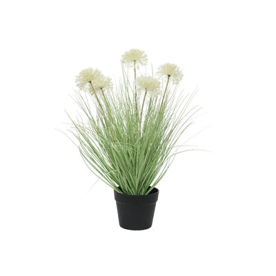 Herbe allium en pot plastique KAEMINGK