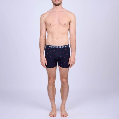 Boxer adriel MISE AU GREEN