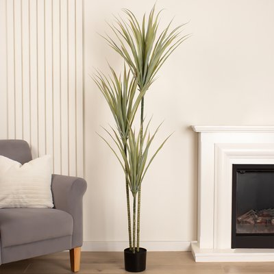 160cm Artificial Yucca Tree SO'HOME