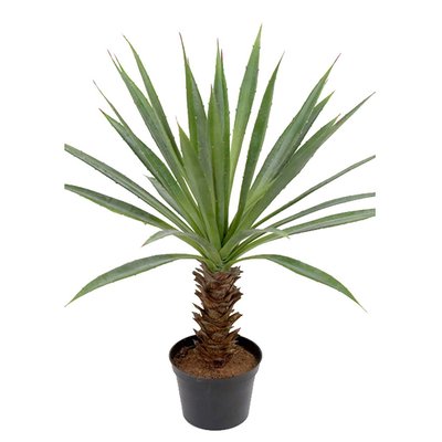 Agave artificiel sur pied en pot, H 40 cm ARTIFICIELLES