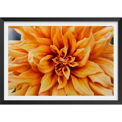 Affiche fleurs coeur de chrysanthème HEXOA