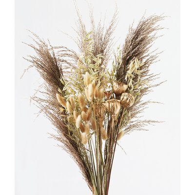 60cm Natural Dried Floral Bouquet - Natural Pampas, Bunny Tail & Gold Lotus Pods SO'HOME