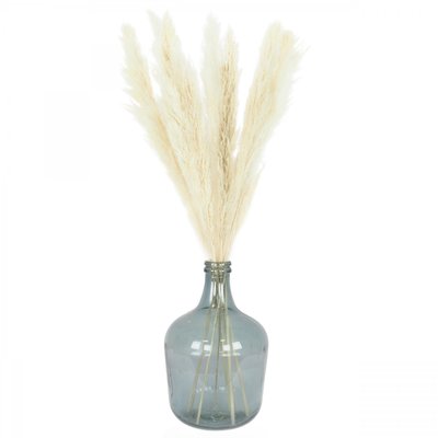 Plumeau plante pampa naturel 105cm lot de 6 LIGNE DECO