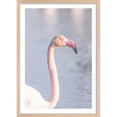 Affiche pastel pink flamingo HEXOA