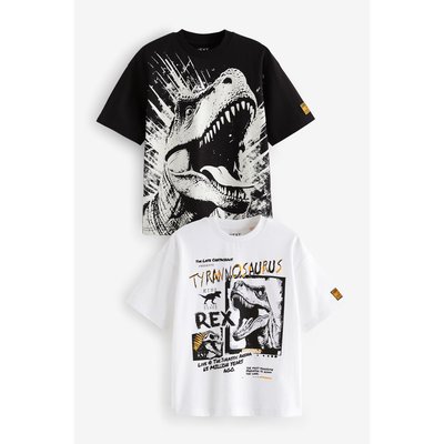 Manche courte graphique t-chemises, lot de 2 NEXT