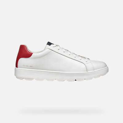 Baskets  U SPHERICA ECUB-1 GEOX