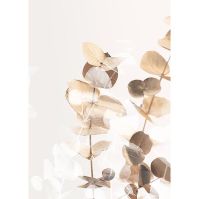 Tableau Mural Charme Clair FLEUR CEANOTHE
