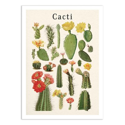 Affiche d’art et cadre noir 50 x 70 cm - Cacti collection - Gal Design WALL EDITIONS