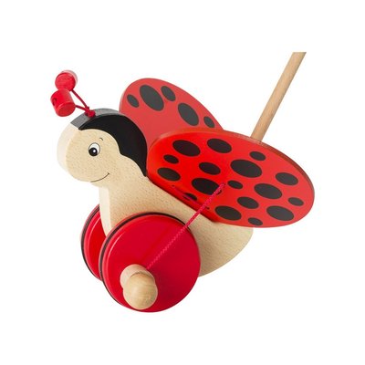 Coccinelle Florah à pousser GOKI