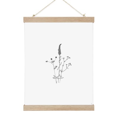 August II, Affiche seule 50cm x 70cm COTTON BIRD