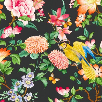 Golden Parrot Wallpaper WEDGEWOOD & CLARKE & CLARKE