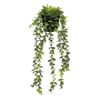 Eucalyptus artificiel en pot "Merly" vert H51cm ATMOSPHERA