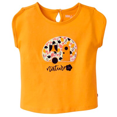 Tee shirt chithra SUCRE D'ORGE