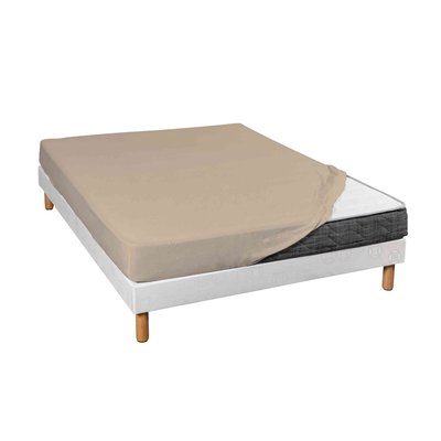 Drap housse coton jersey bonnet 30 cm TERRE DE NUIT
