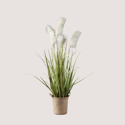 100cm Artificial Pampas Grass in Natural Basket SO'HOME