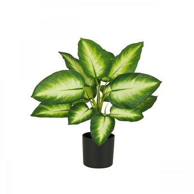 Dieffenbachia artificiel toucher naturel 50cm LIGNE DECO