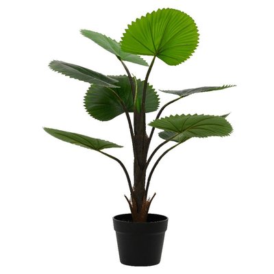 Palmier Licuala artificiel 8 feuilles H75 cm PIER IMPORT