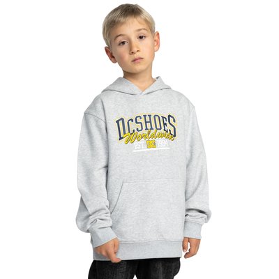 Sweat à capuche TAILGATE PH. DC SHOES