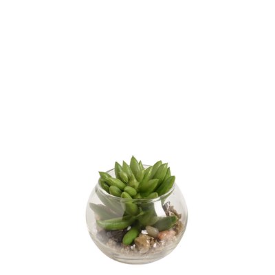 Succulente echeveria en terrarium rond artificielle H8 SIA DECO