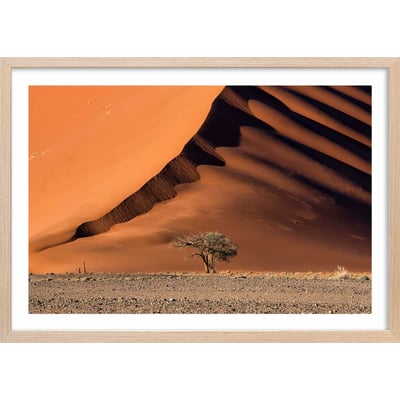 Affiche L'arbre sur la dune, Namibie HEXOA