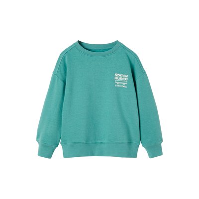 Sweat couleur motif poitrine Basics VERTBAUDET