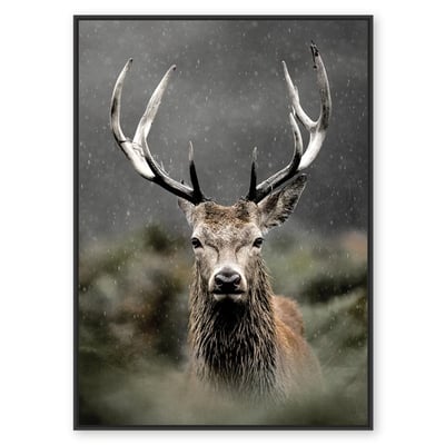 Toile cerf dans les buissons 80x120 cm AMADEUS