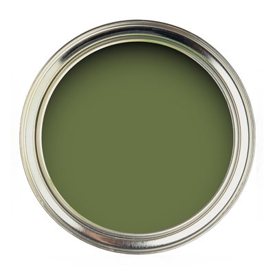 Water Based Eggshell Paint Canopy Green SANDERSON