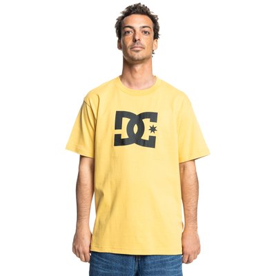 T-shirt. DC SHOES