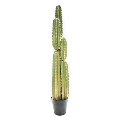 Cactus artificiel ATMOSPHERA