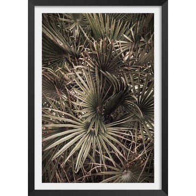 Poster tropicana mood HEXOA