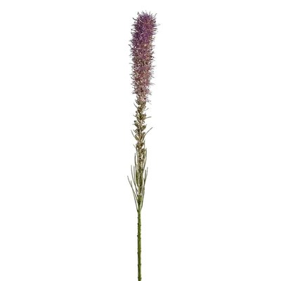 Tige de liatris artificielle H80 SIA DECO