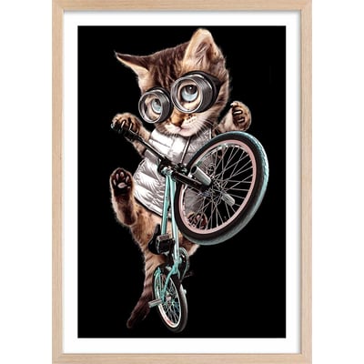 Affiche enfant bmx chat HEXOA