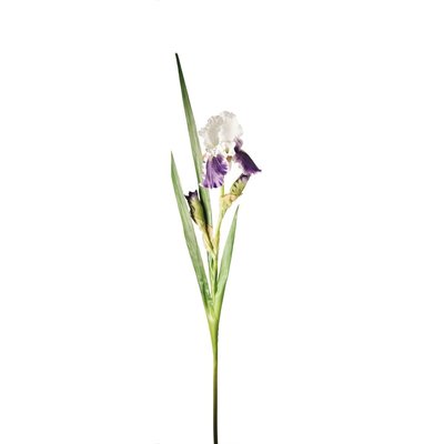Tige d'iris artificielle avec feuilles H105 SIA DECO