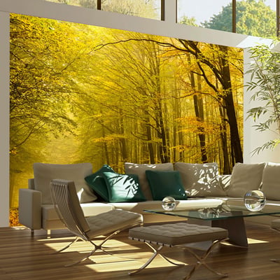 Papier peint intissé panoramique Paysage Route dans la forêt d'automne EDEN