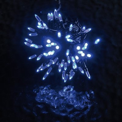 Guirlande exterieur 80 led grain de riz DOUCEUR D'INTÉRIEUR