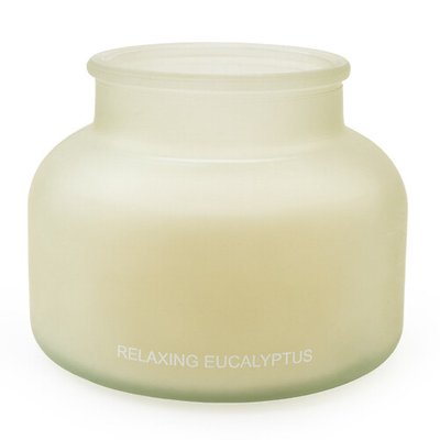 Relaxing Eucalyptus Frosted Candle SO'HOME