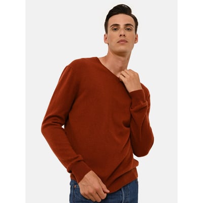 Pull Col V  Écureuil Walt JUST CASHMERE