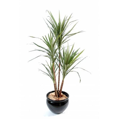 Joli faux eucalyptus en pot H 160 cm ARTIFICIELLES