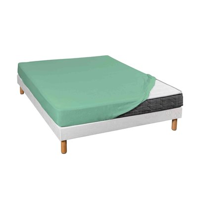 Drap housse coton jersey bonnet 30 cm TERRE DE NUIT