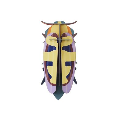 Insecte décoration murale carton  Mango Flower Beetle STUDIO ROOF