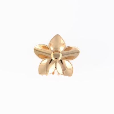 Pince à cheveux fleur dorée BALABOOSTE
