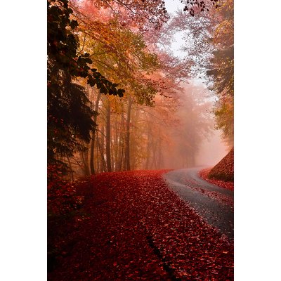 Tableau nature explosion automnale HEXOA
