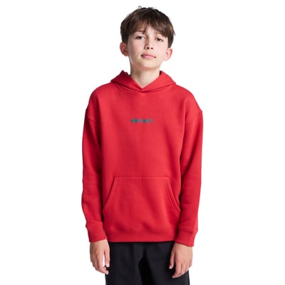 Sweat à capuche LOWCASE BP PO Y ELEMENT