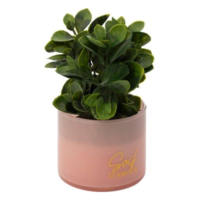 Plante artificielle en pot "Tayli" H18cm ATMOSPHERA